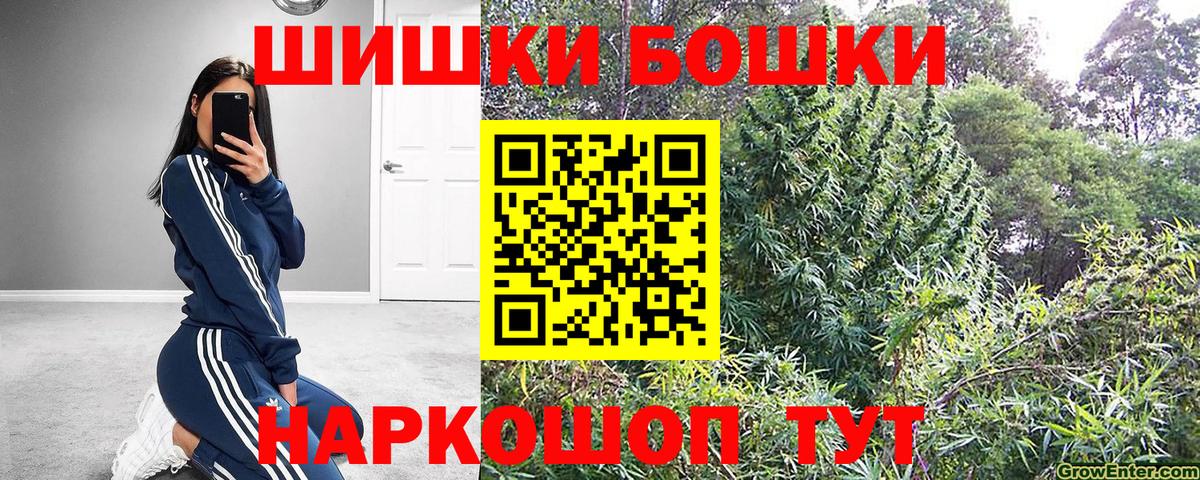 Каннабис ГИДРОПОН  Чернушка  Каннабис ГИДРОПОН 